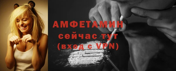 ПСИЛОЦИБИНОВЫЕ ГРИБЫ Сосновый Бор