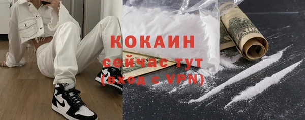ПСИЛОЦИБИНОВЫЕ ГРИБЫ Сосновый Бор