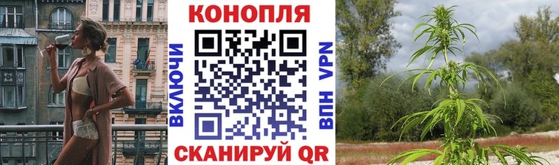 Конопля ГИДРОПОН  omg ONION  Шиханы 
